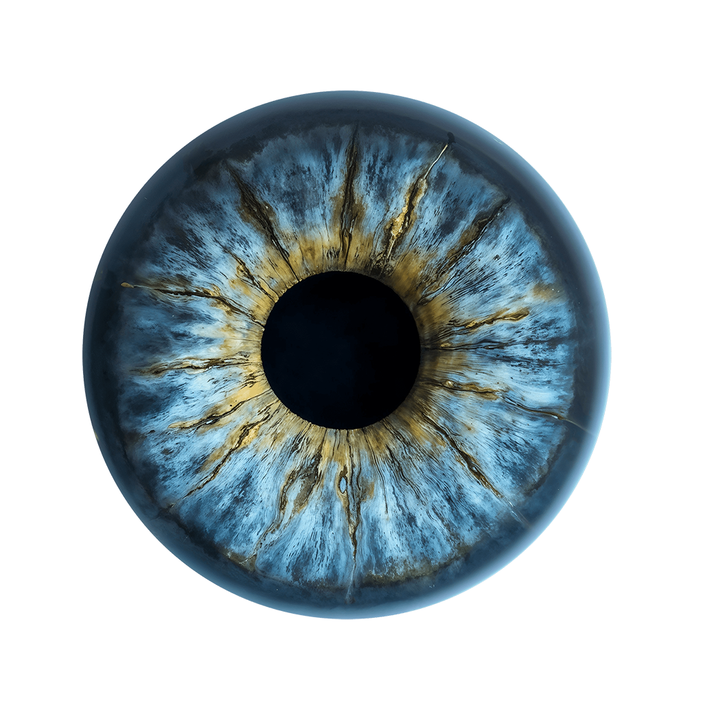 Eye Animation